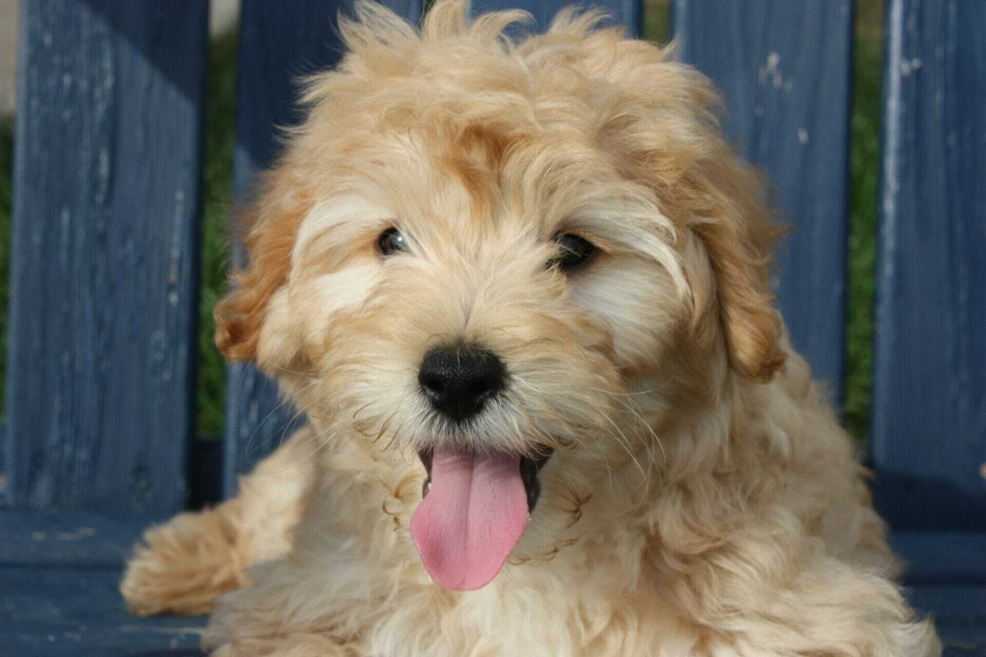 Willie10Weeks CentrePoint, Inc. 4